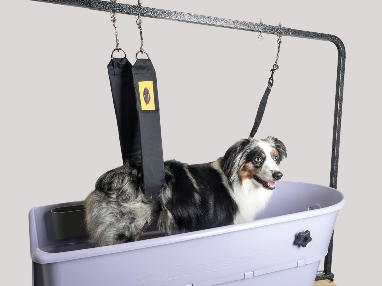 HOME Grooming Safety by Jessica