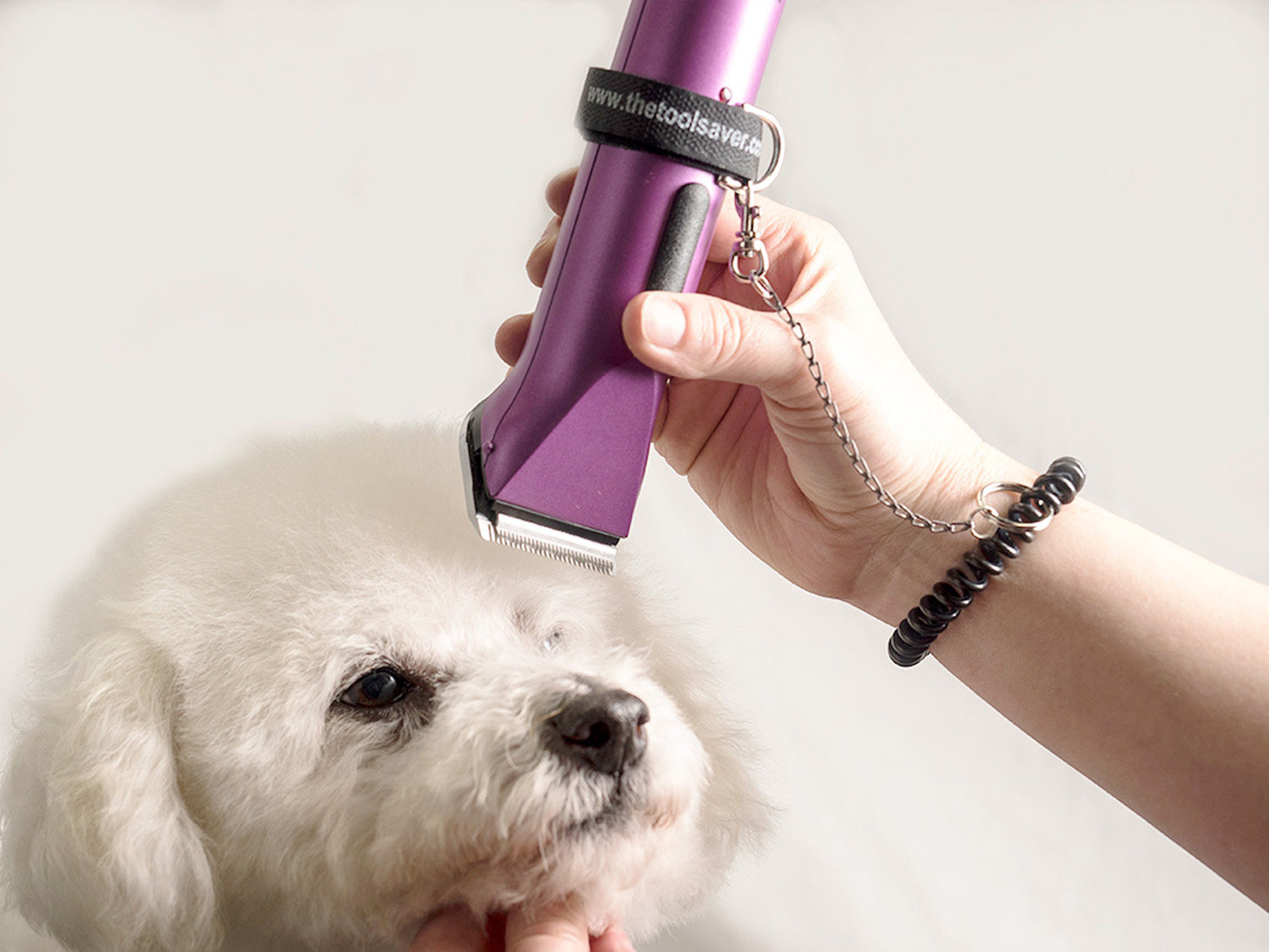 Grooming your dog with hot sale clippers